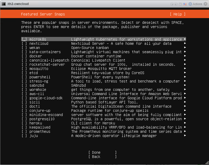 Installing Ubuntu 20.04.1 Server - install server snaps