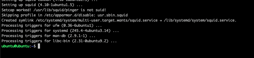 Installing Squid Proxy Server and SARG on Raspberry Pi running Ubuntu 20.04 Server and limit internet access to certain times.